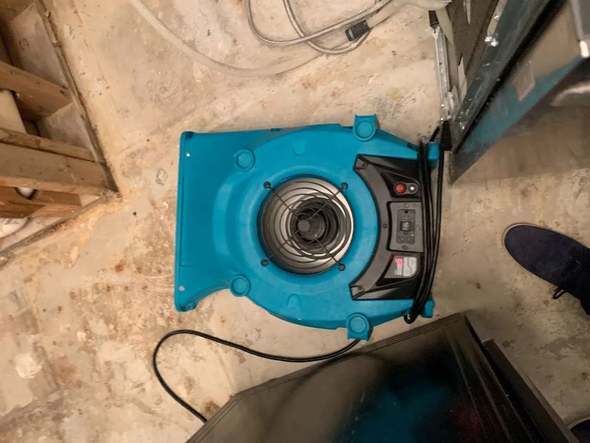 Air mover drying equipment for Mold Remediation & Removal in Woodbridge